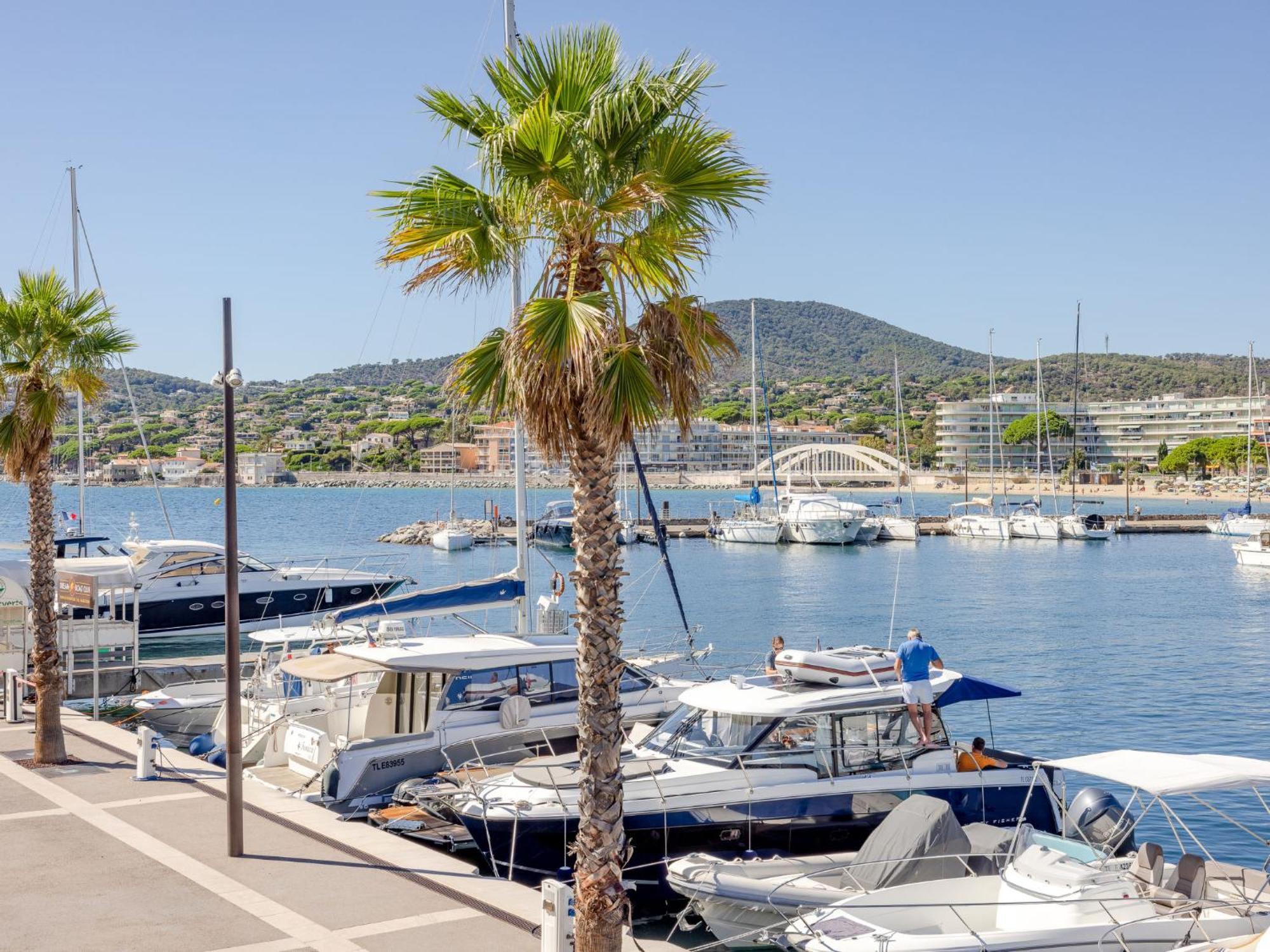 Les Pins Dores-2 By Interhome Apartment
